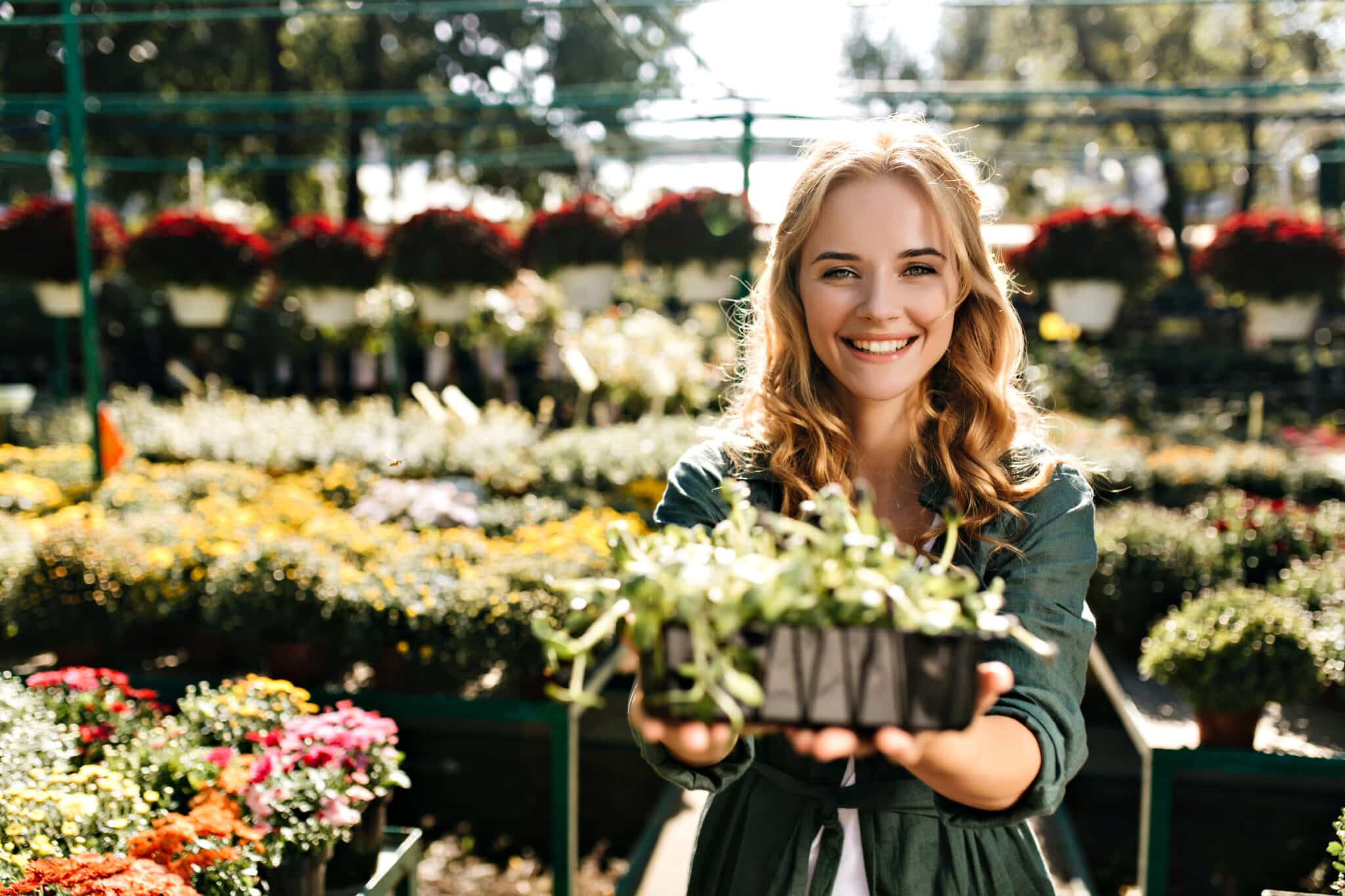 BAC Pro Vente Jardinerie MFR Villié Morgon