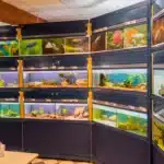 L'animalerie pédagogique