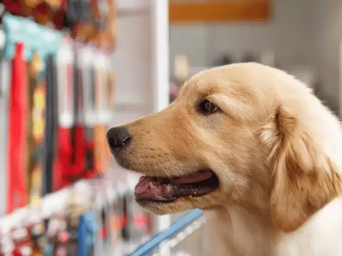Vendeur en animalerie