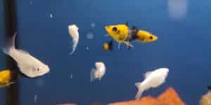 IMG 20220218 151718