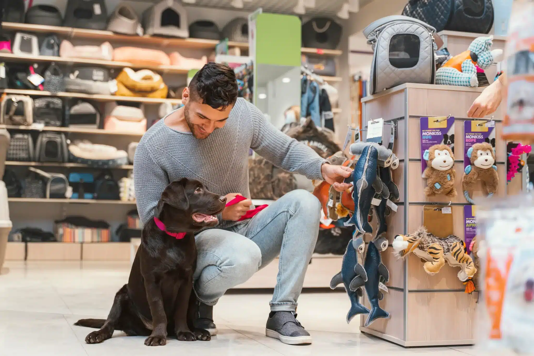 Vente en Animalerie