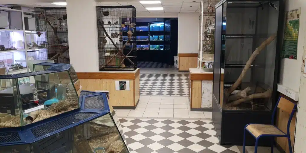 animalerie pedagogique mfr rhone cages a oiseaux aquariums t