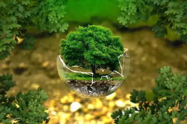 Développement durable