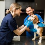 Technicien conseil vente en animalerie